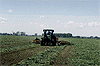 Tetting Operations